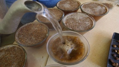 analyse sensorielle café, goûts basiques perceptibles café, arômes du café